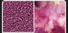 SBC Custom Friday Album Sale 07/25/25- Purple Marble- Jackie Dickinson