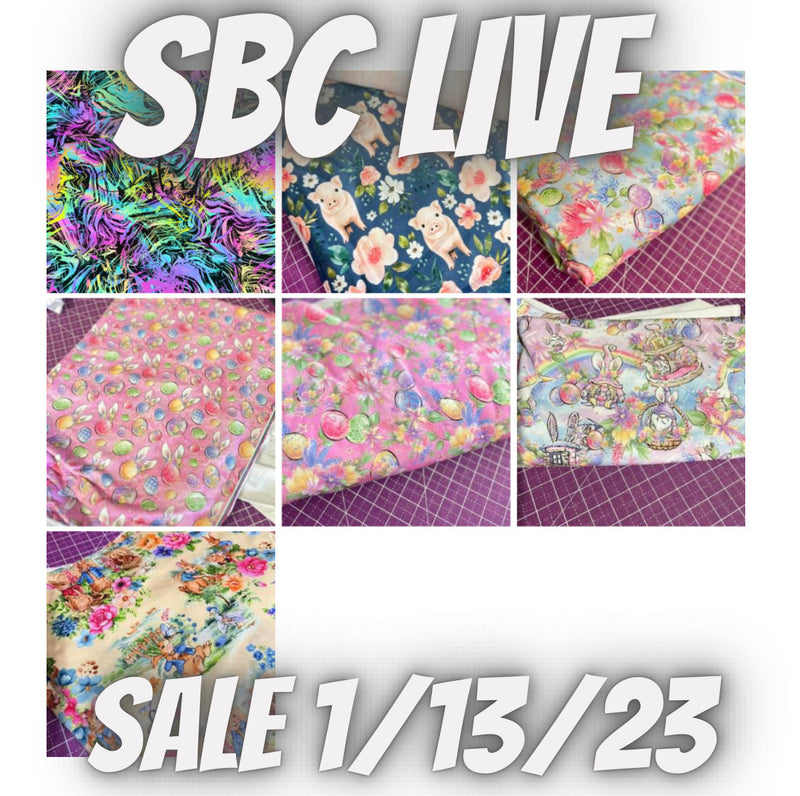 SBC Friday Custom Album Sale 01/13/23 - MTO Blue Eggs Spot 3 - Sarah Riggs